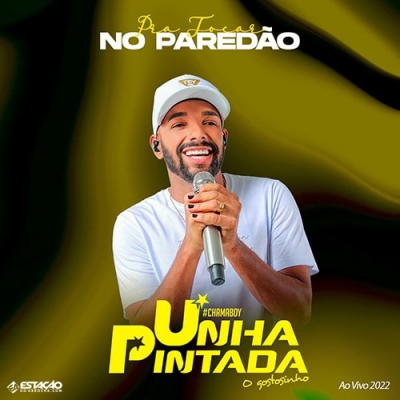 UNHA PINTADA - Pra Tocar no Paredao