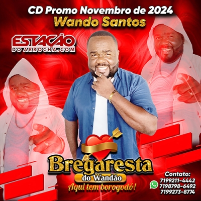 Wando Santos - Bregaresta do Wandão