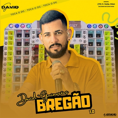 David Guimaraes - Bregão 1.0